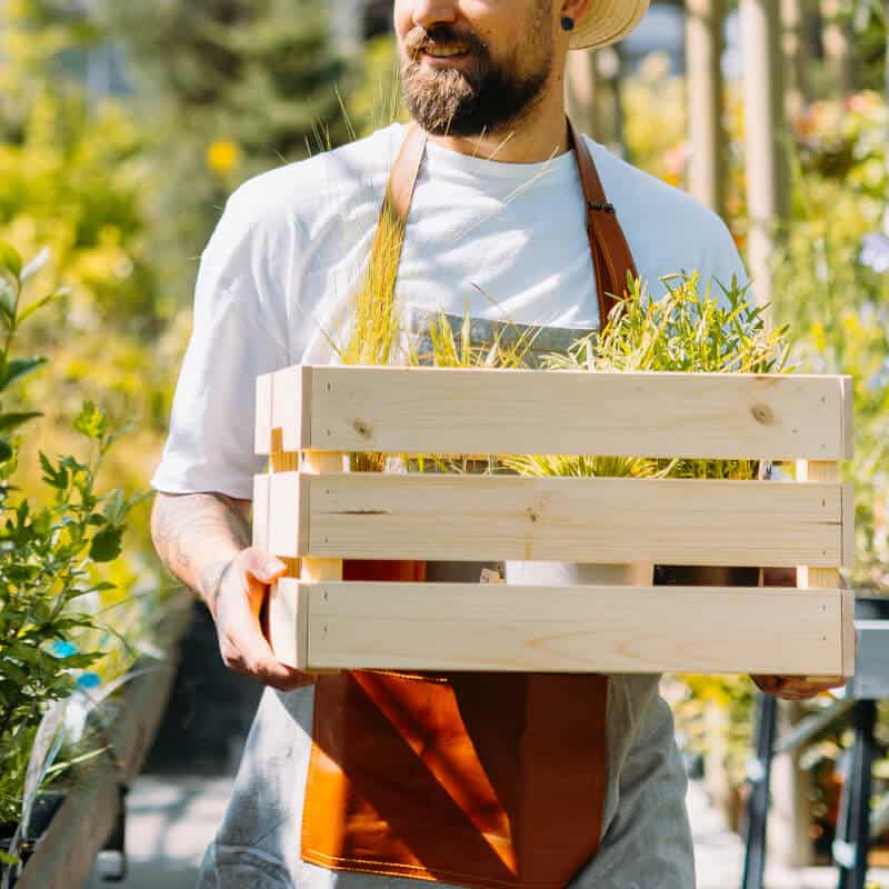 Un homme souriant marche avec une caisse en bois contenant des plantes médicinales, symbolisant notre formation en ligne de Jardinier Cueilleur Herboriste