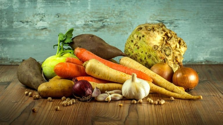 Assortiment de légumes frais et colorés prêts pour la récolte d'automne en Amérique du Nord.