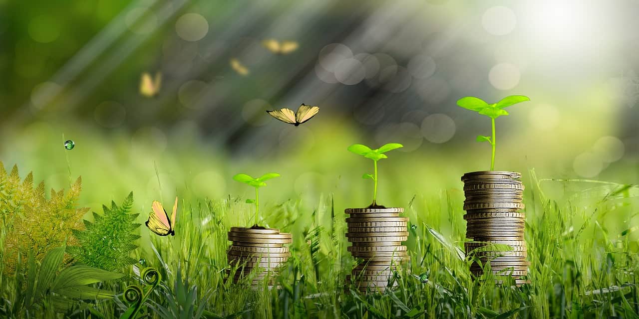Autonomie financière avec une petite plante en croissance symbolisant les économies.