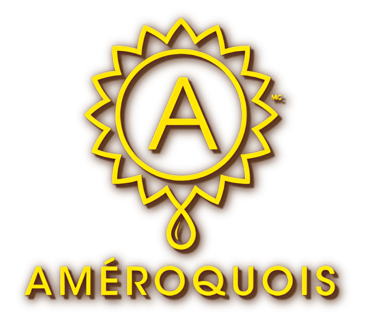 acbbc7d2-503e-45d7-bb4a-5714af2efc06.png