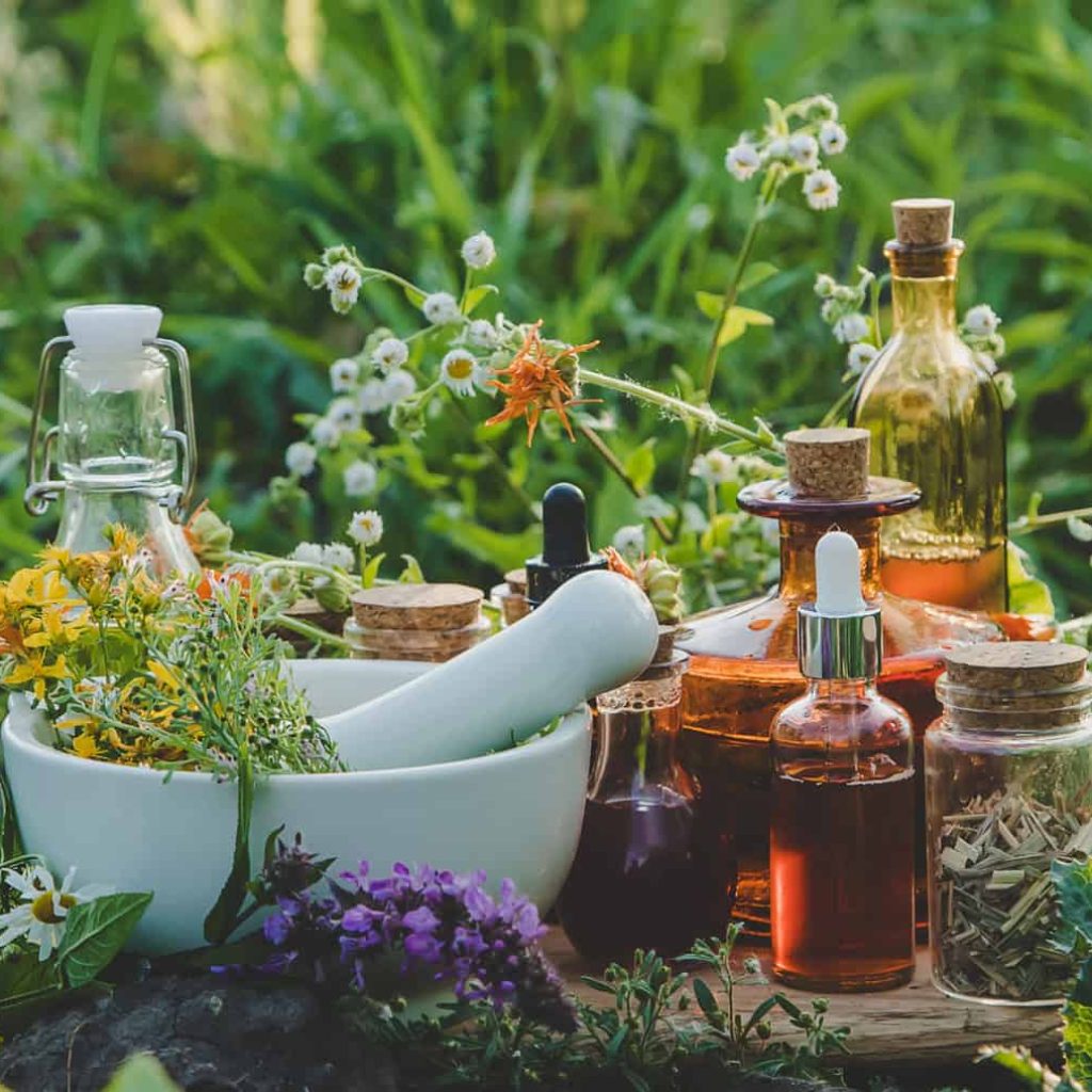 Medicinal herbs and tinctures alternative medicine. Selective focus. Nature.